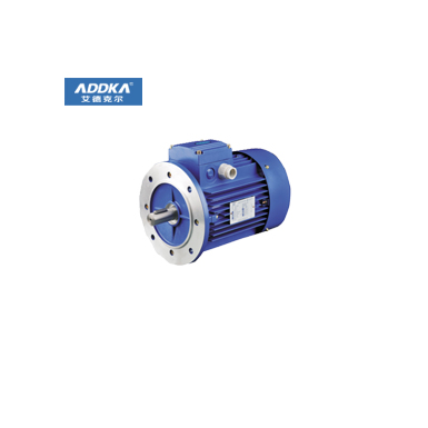 YS系列三相鋁殼電機-B5